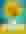 30 Coins