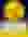 9 Coins: Grand Gold Edition