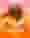Midas King Of Gold