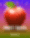 Fruity Treats