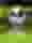 Eye of the Panda