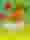 Fruit Warp