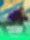 Marvelous Furlongs