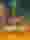 Rainbow Ryan