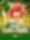 Lucky Clover Riches
