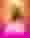 Midas Fortune