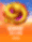 Serpent Gold Coins