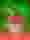 Dynamite Fruits