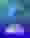 Boto Bingo