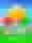 Jelly Candy