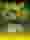 Fogo Do Brasil 777