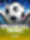 World Football Fortunes