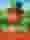 4 Clover Pots
