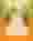 Crown of Avalon