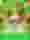 Golden Glyph 2
